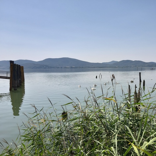 Il Lago Trasimeno